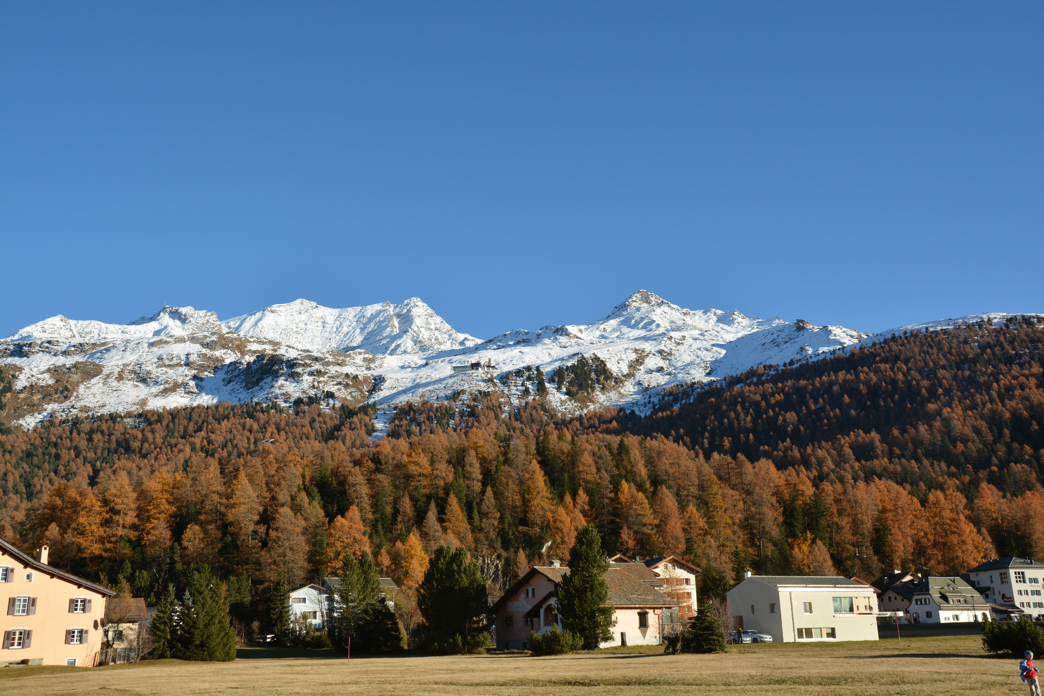 Herbst Furtschellas und Corvatsch