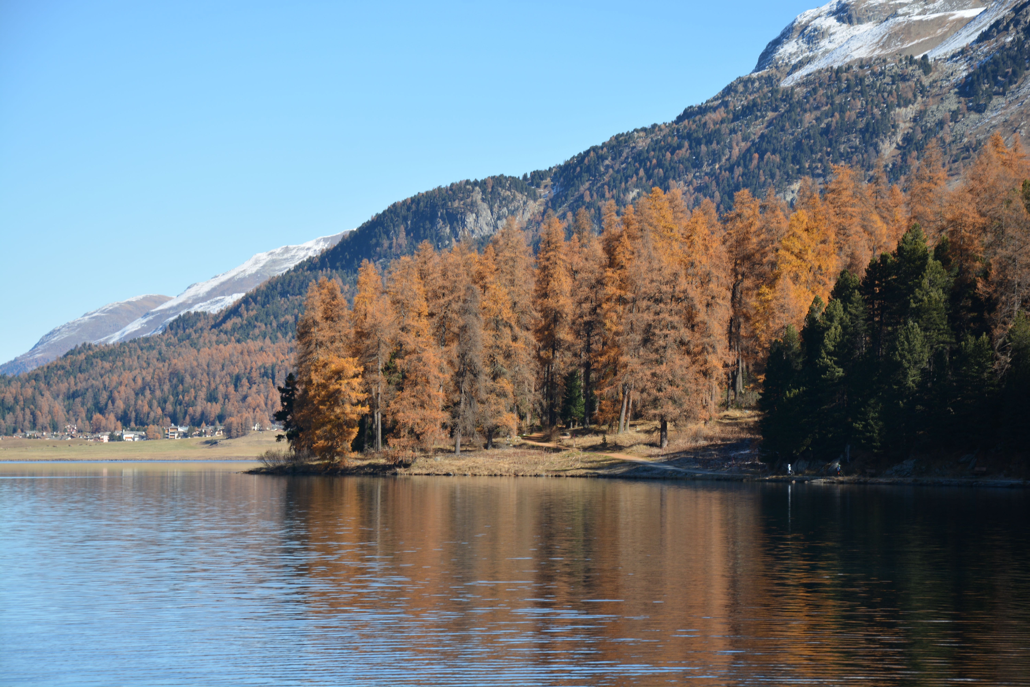 Herbst Wandern Richtung Silvaplana