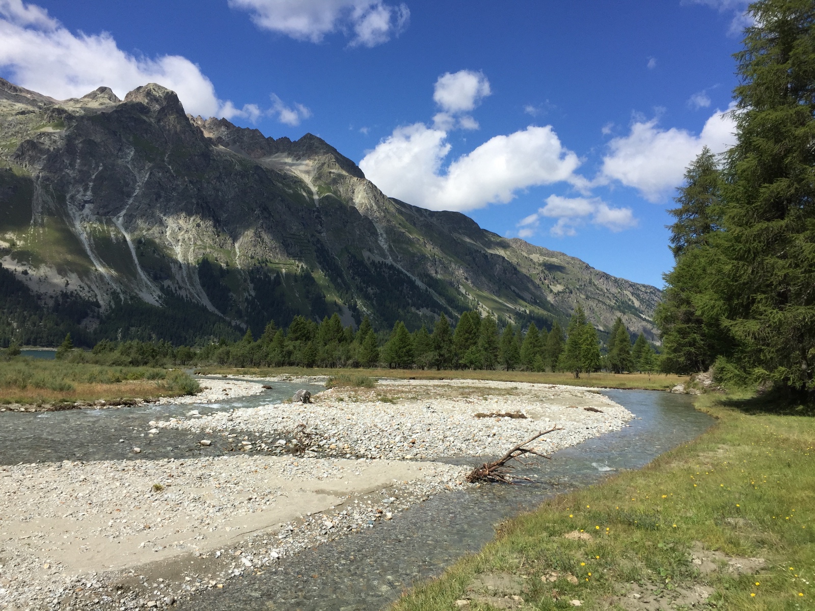 Engadin Sommer Isola20160811 130354821 iOS