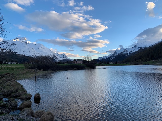 Mountain spring Sils Maria nature