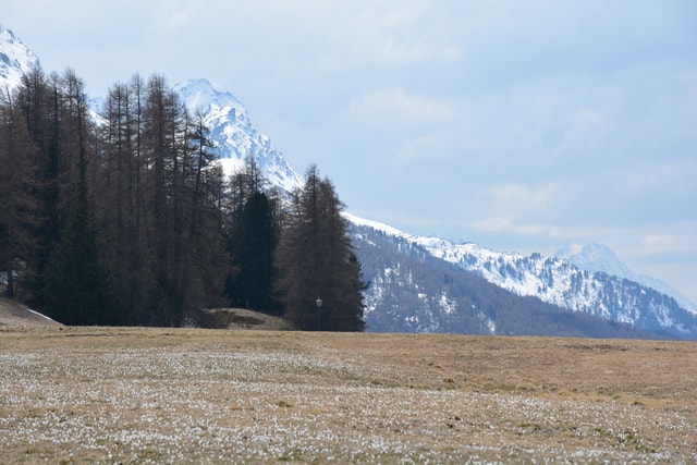 Spring landscape Upper Engadin