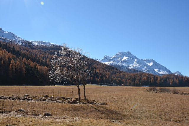 Autumn panorama Engadin valley